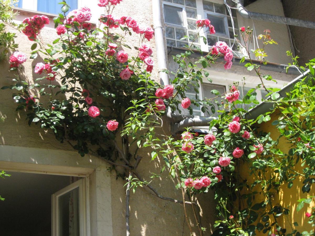 Hotel Moeve Garni